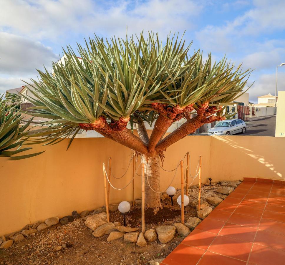 O Dragoeiro Da Madalena! Porto Santo