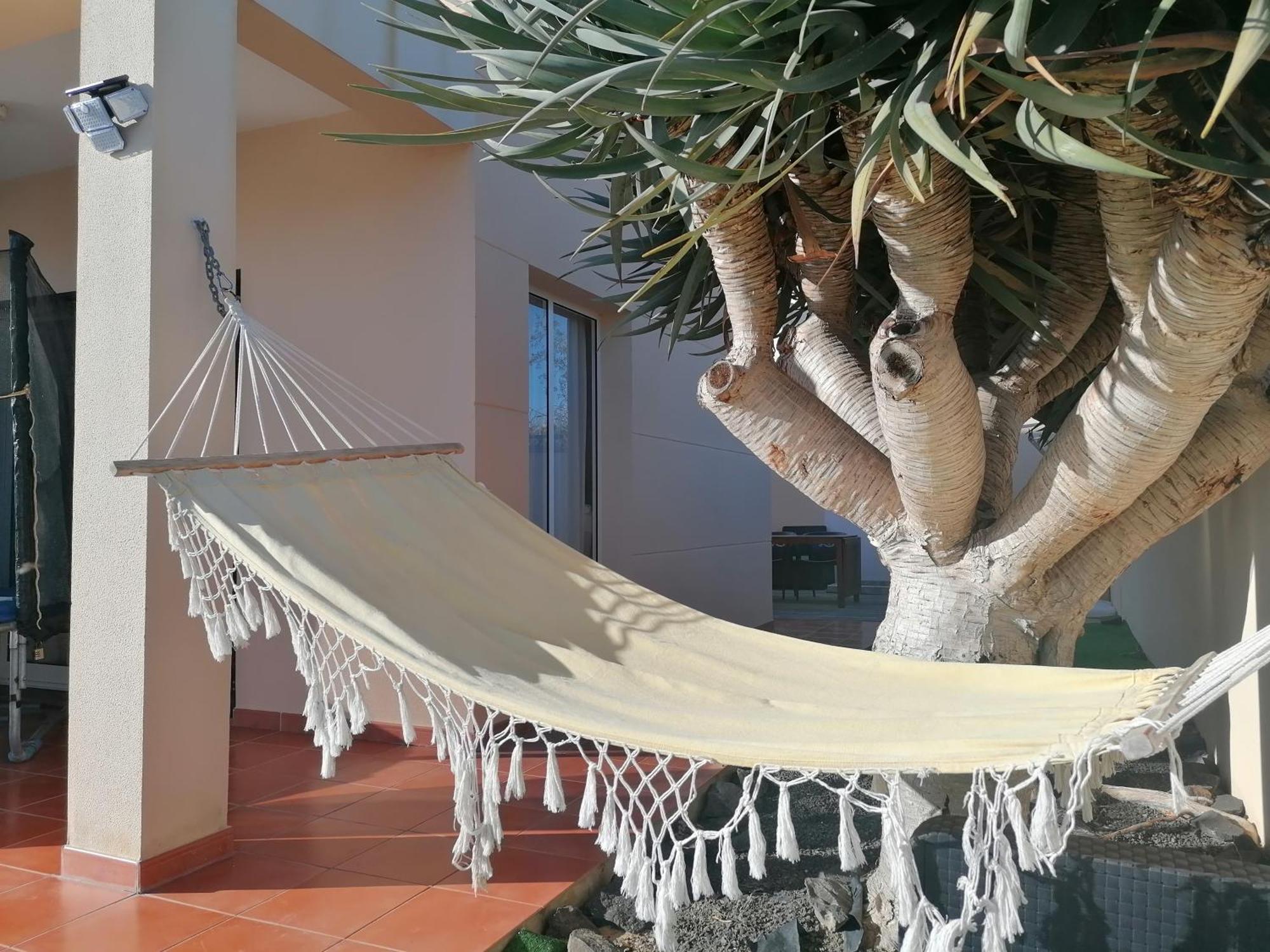 Hébergement de vacances O Dragoeiro Da Madalena! Porto Santo